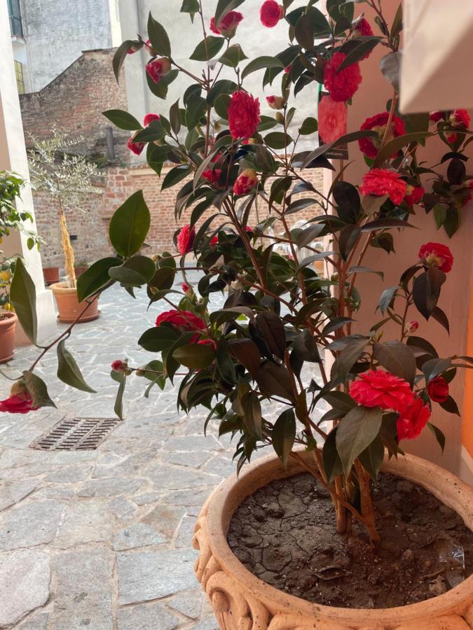Apartamento Residenza Nikol Casale Monferrato Exterior foto