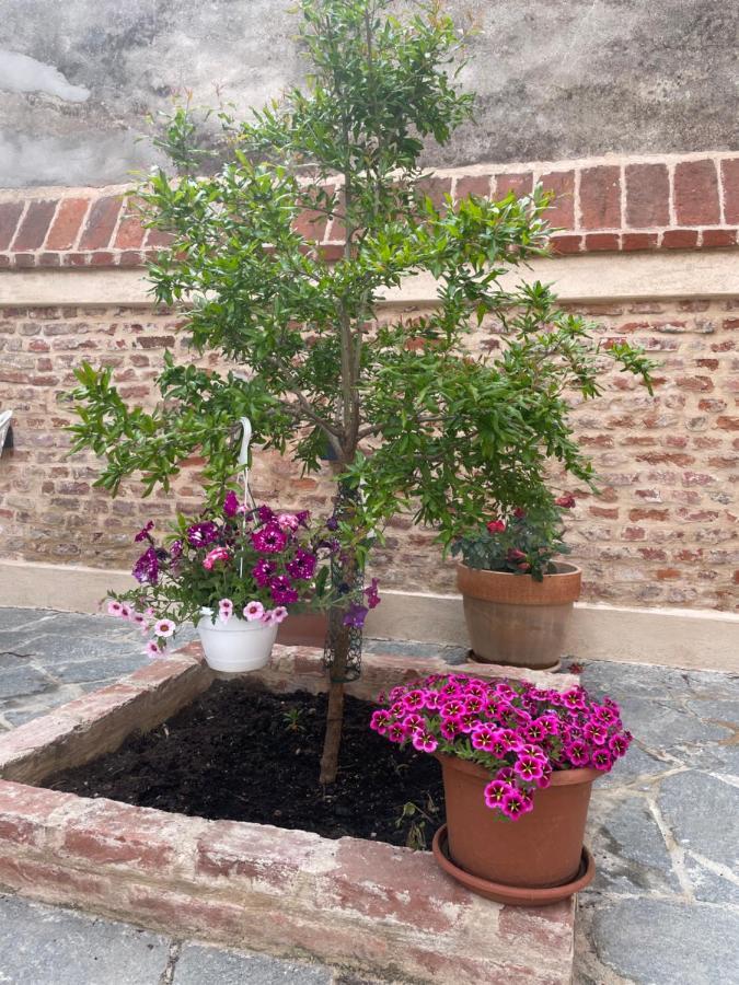 Apartamento Residenza Nikol Casale Monferrato Exterior foto